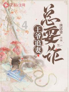 狗狗物品记忆卡